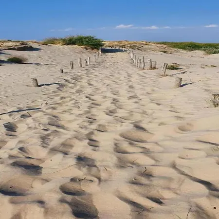 Karthuizer B Located Between The Dunes Apartment Nieuwpoort
