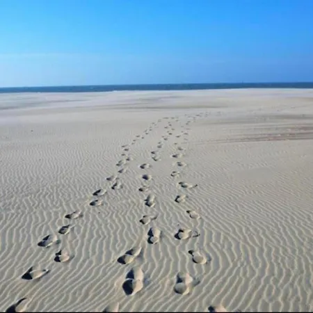 Karthuizer B Located Between The Dunes Apartment Nieuwpoort